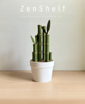 ZenShelf: Bilgi Ormanının Koruyucusu