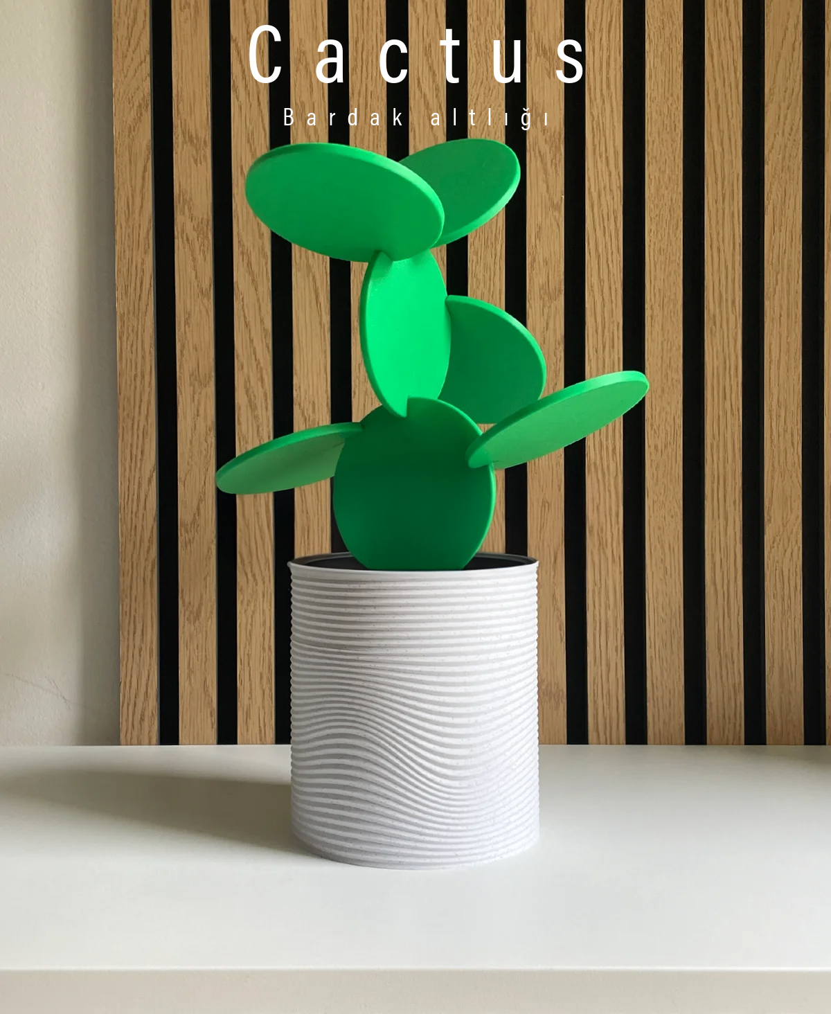 Cactus: Masanızdaki Fonksiyonel Vaha