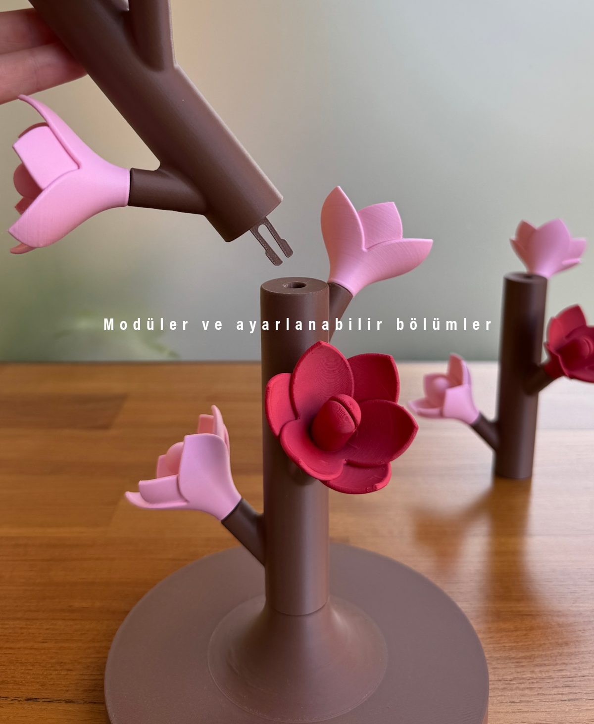 PetalPix: Fotoğraflarınızın Çiçek Açtığı Yer