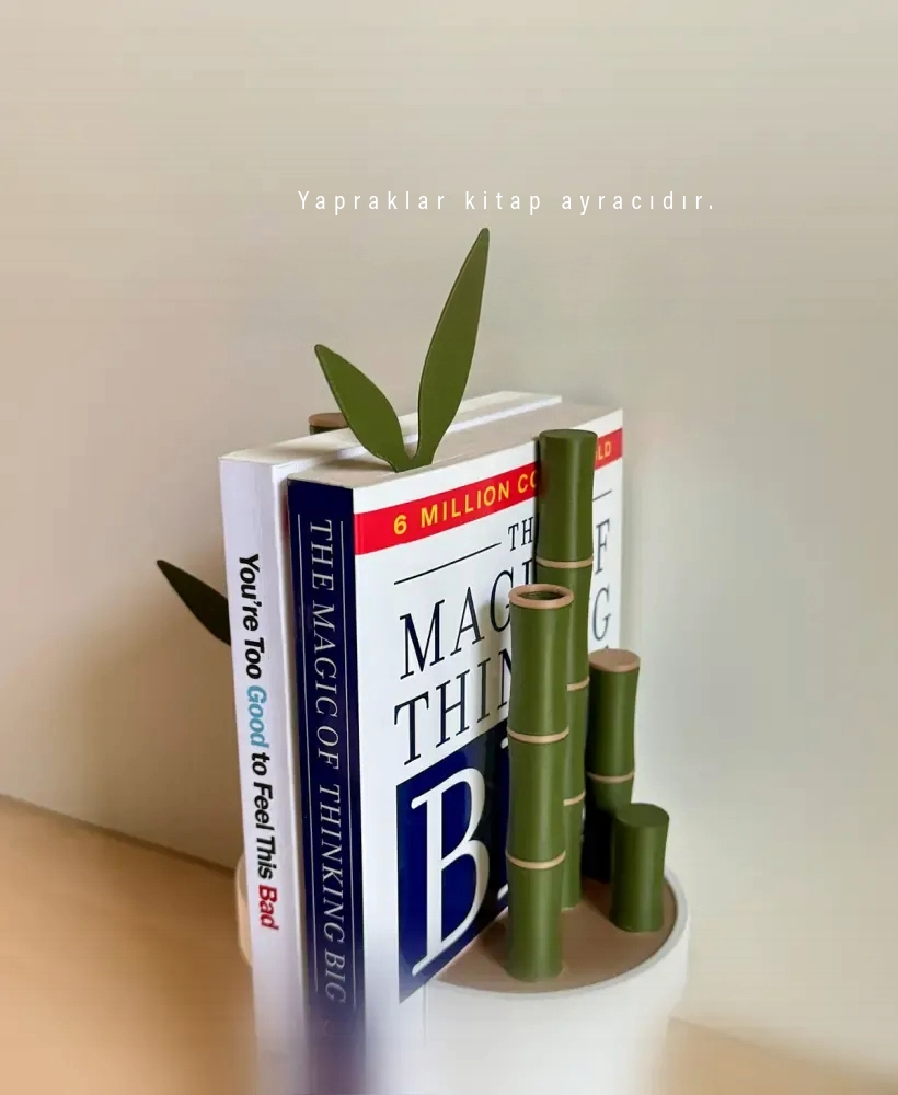 ZenShelf: Bilgi Ormanının Koruyucusu
